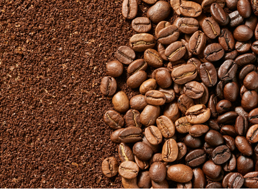 Hand Sorting and Grading Coffee Beans